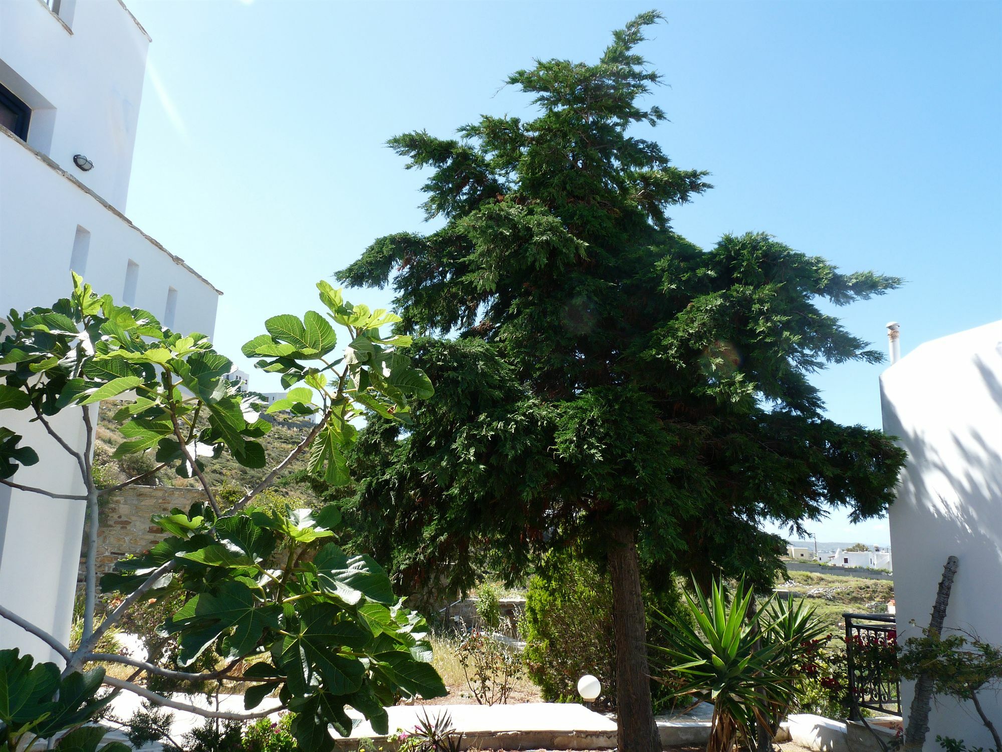 Paradisia Villas Naxos City Exterior photo