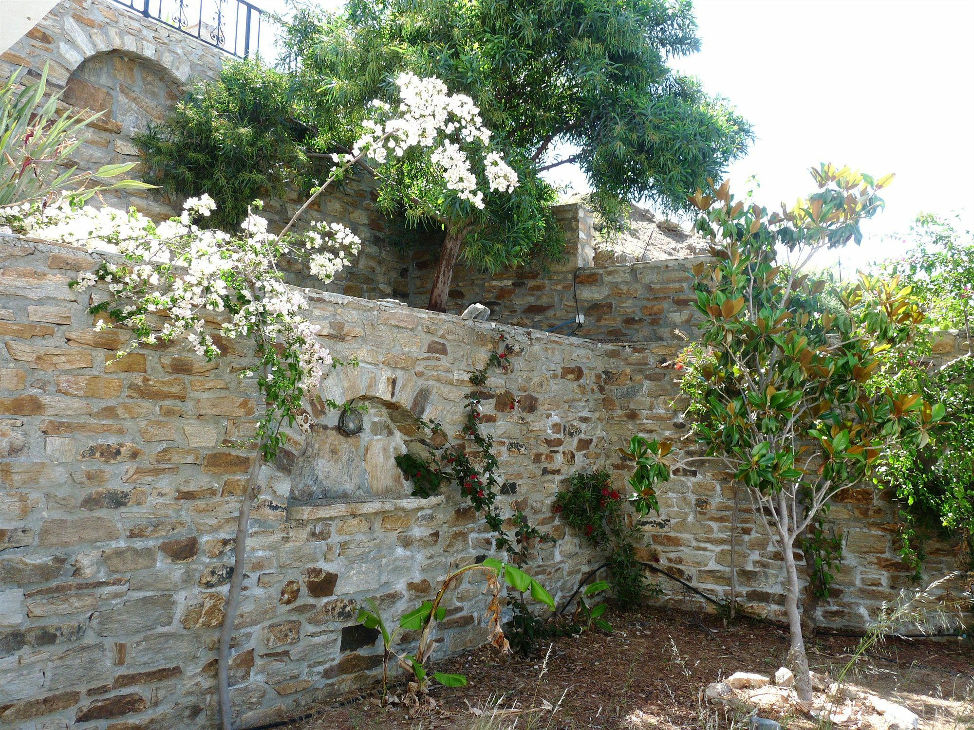 Paradisia Villas Naxos City Exterior photo